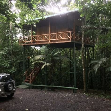 Tree Houses Hotel Costa Rica - UPDATED 2024 Prices, Reviews & Photos