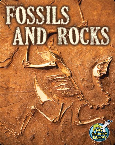 Fossils And Rocks Childrens Book By Kimberly Hutmacher Discover