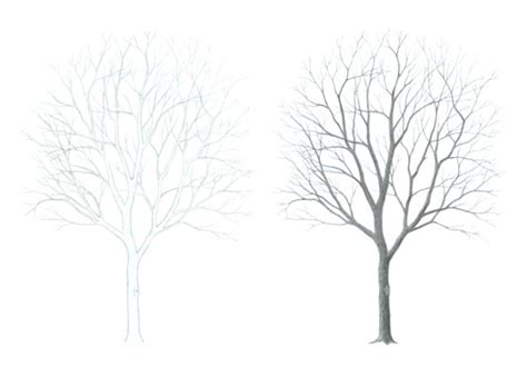 How to Draw a Tree Step by Step Tutorial - EasyDrawingTips