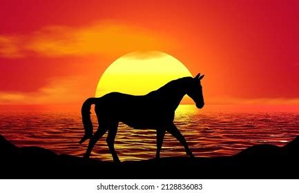 Unicorn Horse Silhouette Sunset Beach Sunrise Stock Illustration ...