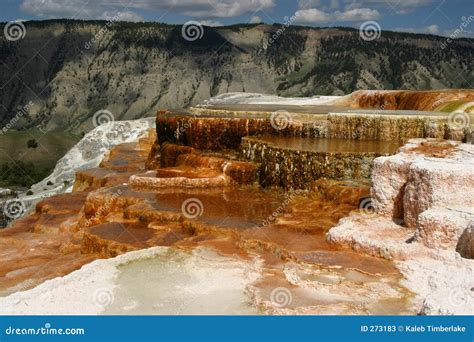Mammoth Hot Springs Stock Image Image Of Mammoth Montana