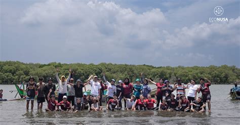 AksiMudaJagaIklim Penanaman Mangrove Di Pantai Sederhana Muara