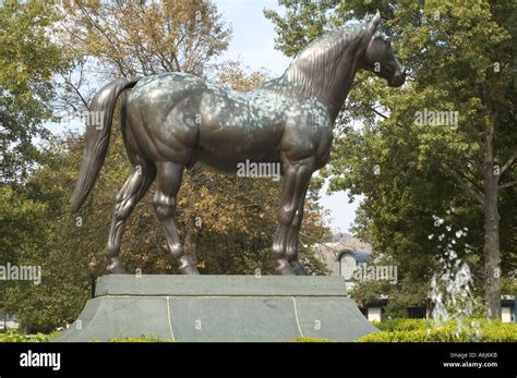 Man o War Statue at Kentucky Horse Park, Lexington, Kentucky Stock Photo: 6620858 - Alamy