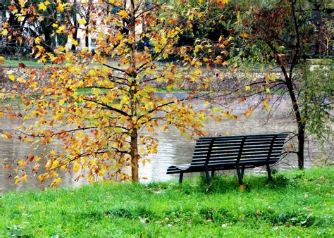 A Rainy Day Of November At The Park Parco Dell Albereta F Flickr