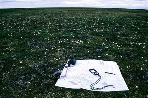 Hiking In The Tundra C Leslie Leong Leslie Leong Flickr