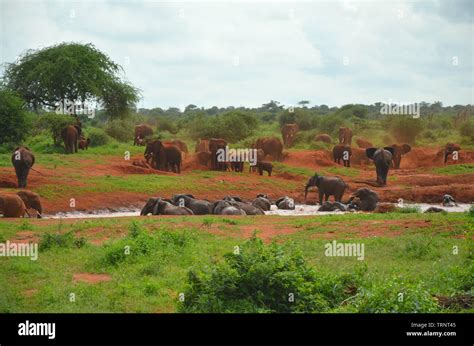 Red Soil Africa Hi Res Stock Photography And Images Alamy