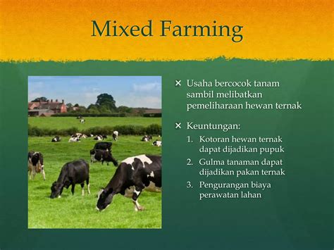 Geografi Pertanian Tipe Pertanian Potensi Degradasi Lahan Dan