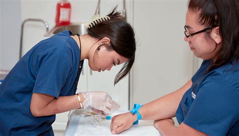 Phlebotomy Technician Phlebotomy Program