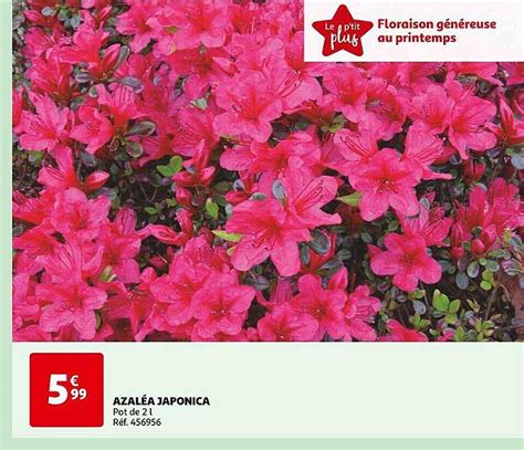 Promo Azal A Japonica Chez Auchan Icatalogue Fr