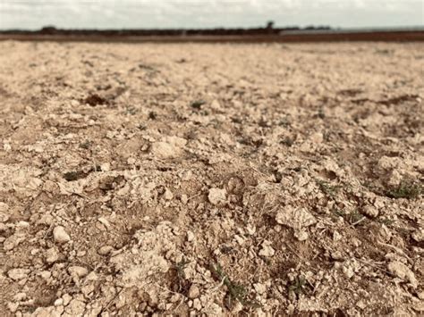 SICCITÀ COLDIRETTI PUGLIA LA PUGLIA E LA REGIONE DITALIA DOVE PIOVE