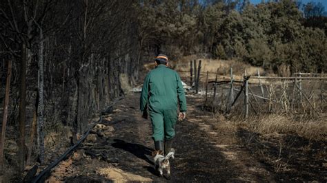 Declaración de zona catastrófica para seis comunidades por los incendios