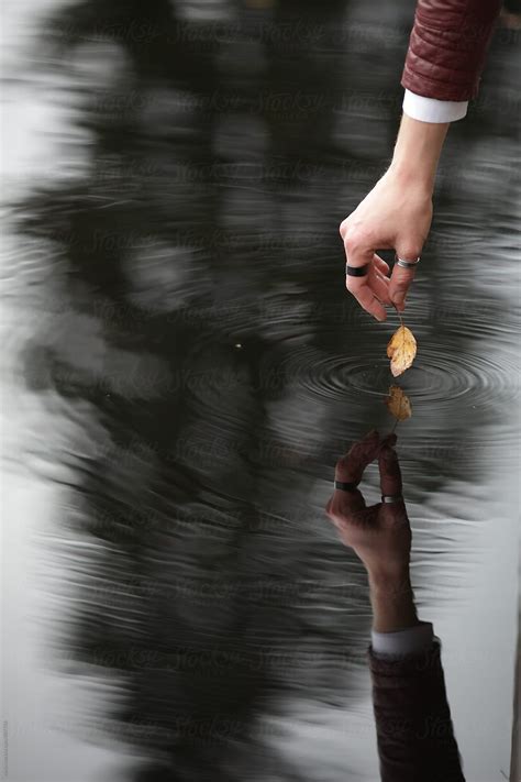 Woman Touching Water Surface With Autumnal Yellow Leaf Unrecognizable