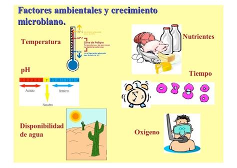 Crecimiento Microbiano