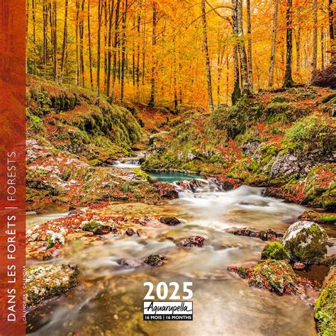 Comprar El Calendario De Los Bosques 2025 Simplemente Haz Tu Pedido Online