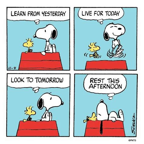 Pin By Henry Garcia On Snoopy Snoopy Comics Snoopy Cartoon Snoopy Funny