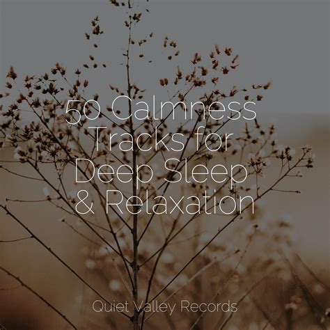 50 Calmness Tracks For Deep Sleep Relaxation Relaxing Sleep Sound