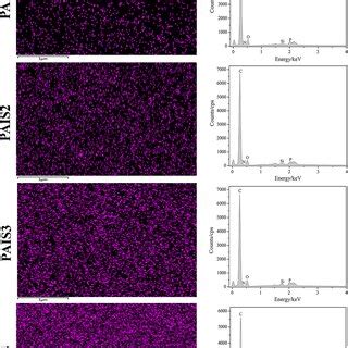 Effects Of Pais On In Vitro Angiogenesis Of Huvecs A In Vitro