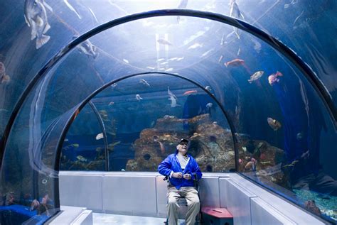 The Aquarium (Aquarium du Québec), Sainte-Foy, Quebec City, Québec ...