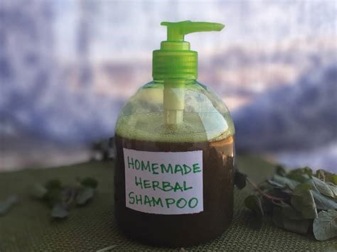 Homemade Herbal Shampoo Dorcas Vegan Kitchen