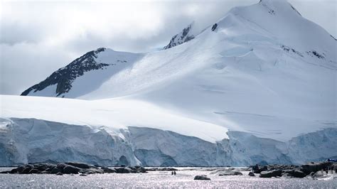 Antarctic Ice Shelves Are Thinner Than Previously Thought | Technology Networks