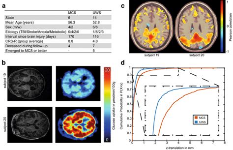 A Demographic And Clinical Data Of The Study Cohort Mcs Minimally