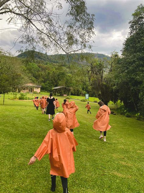 Reserva Ambiental Serelepe Ano Col Gio Santo Anjo