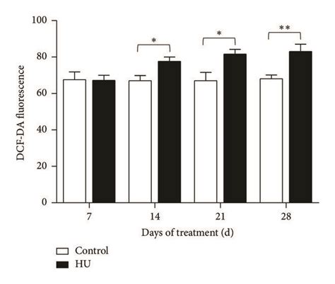 Effects Of HU Hindlimb Unloading On ROS And 8 OHdG Level In Rat