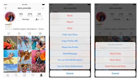 how to mute accounts instagram