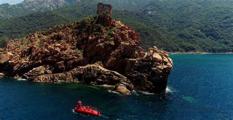 Porto Scoperta Della Fauna E Della Flora Marina Baia Di Porto