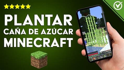 Cómo Plantar Caña de Azúcar Dentro de Minecraft Crear Recursos