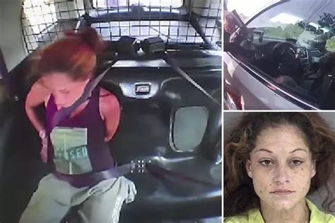 Convicted Sex Offender Is Run Off Road In His Minivan By Police During Dramatic High Speed Chase