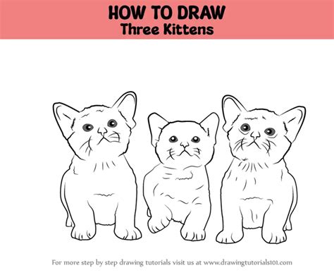 How to Draw Three Kittens (Cats) Step by Step | DrawingTutorials101.com