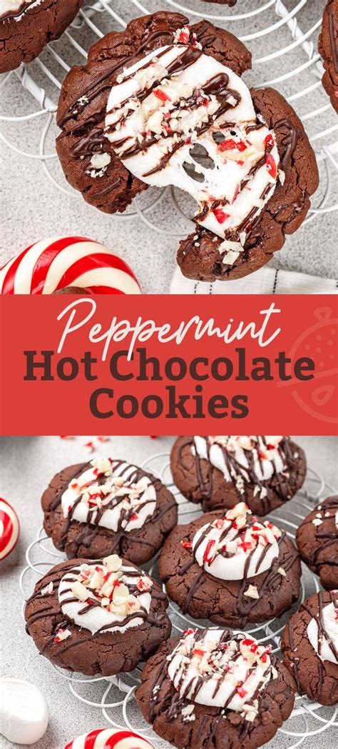 Peppermint Hot Chocolate Cookies Lemon Blossoms