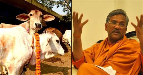 Cow Only Animal That Exhales Oxygen Says Uttarakhand Chief Minister