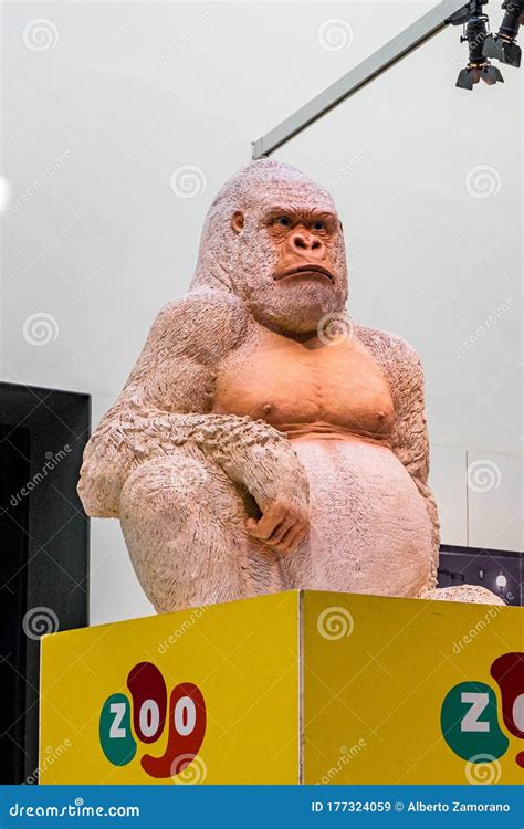 Copito Gorilla Albino in Zoo Barcelona City, Catalonia, Spain. Editorial Stock Image - Image of ...