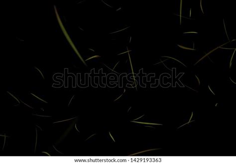 Flying Grass On Black Background 3d Stock Illustration 1429193363