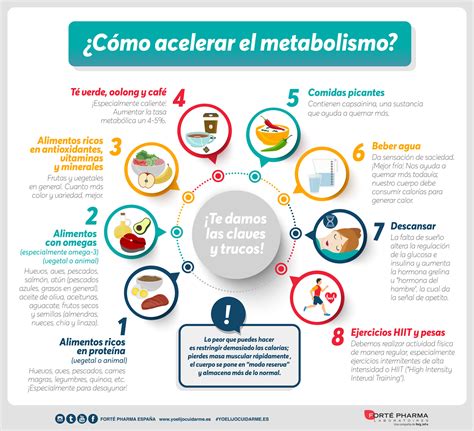 Conoce Tu Metabolismo Basal