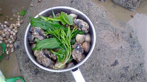 Coastal Foraging With Craig Evans Razor Fish Clams And Wild Greens