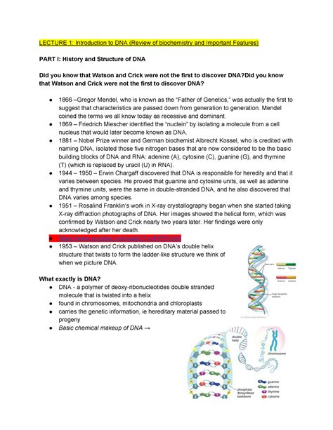 MBIO 3410 Lecture 1 Summer 2020 LECTURE 1 Introduction To DNA