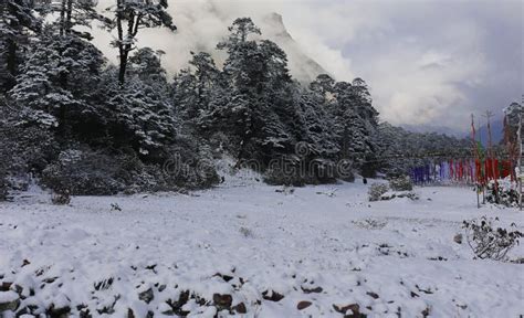 Beautiful Snow Covered Lachung Valley Near Yumthang Valley In Winter