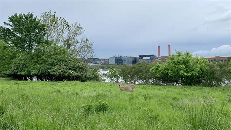 Happyly: Anacostia Riverwalk Trail