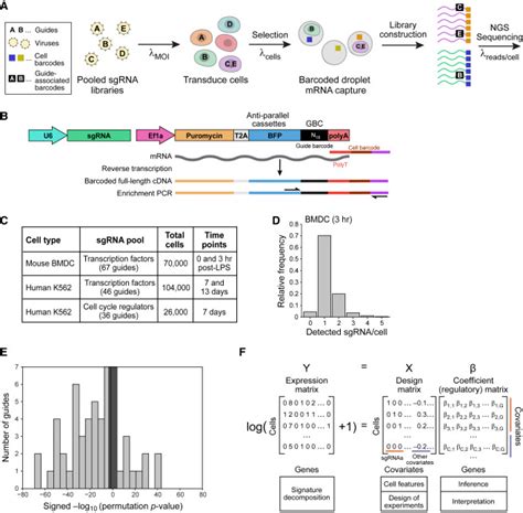 Perturb Seq Dissecting Molecular Circuits With Scalable Single Cell