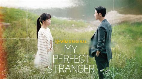 Sinopsis My Perfect Stranger Episode Viu