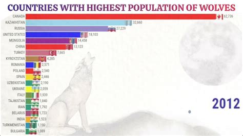 Countries With Highest Population Of Wolves Gray Wolf Populations By