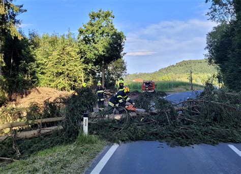 Baum Drohte Auf Landesstra E Zu St Rzen