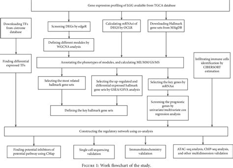 Figure From The Recurrent Specific Regulation Network Of Prognostic