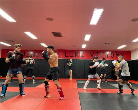 20 Best Mma Gyms In The World 2024 Guide