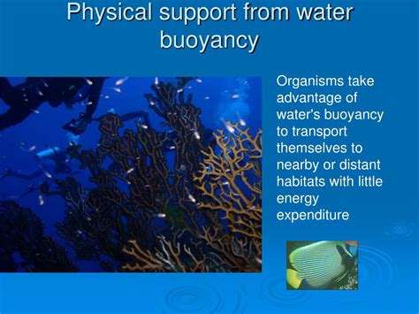 Ppt Aquatic Biomes Powerpoint Presentation Free Download Id528098