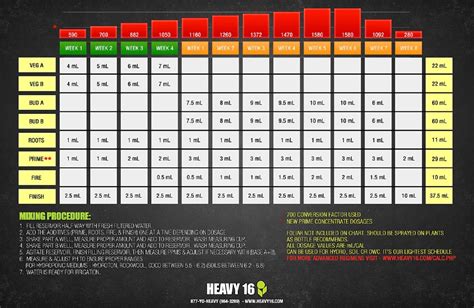 Heavy Feeding Chart Draw Stunning Portraits