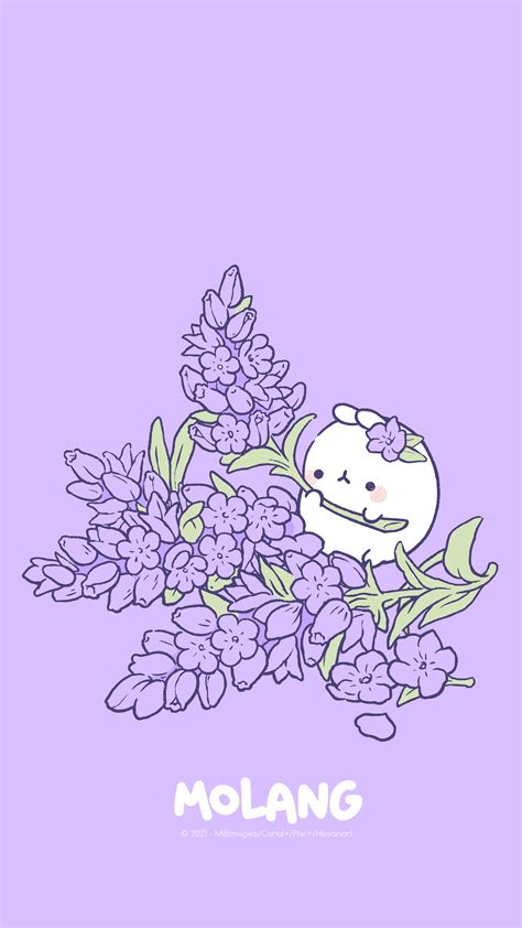 Molang Violet Wallpaper Molang Wallpaper Cute Wallpapers Cute